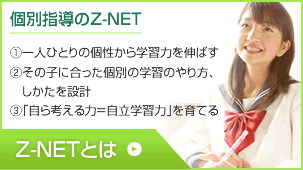 Z-NETとは